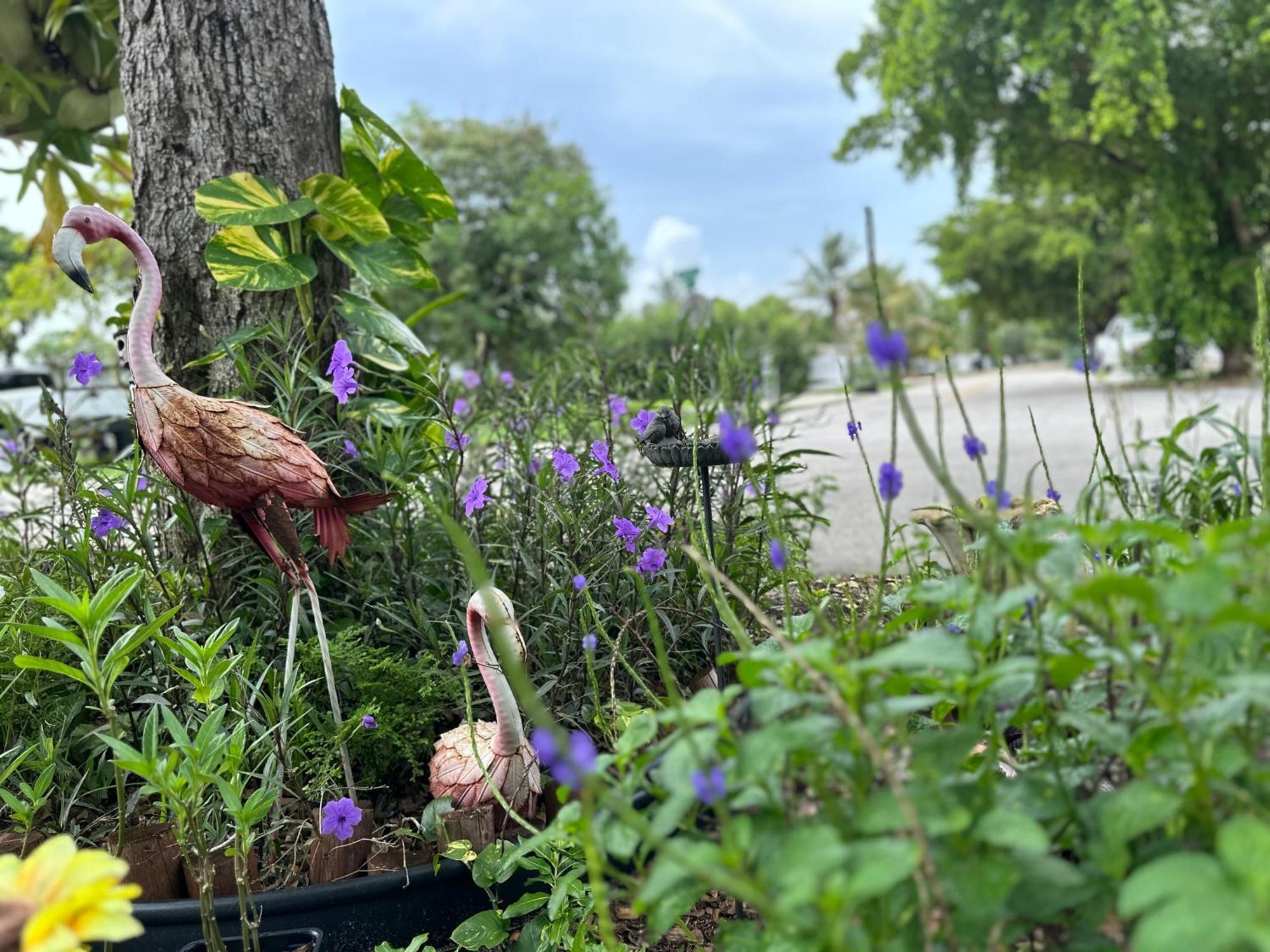 צפון מיאמי Flora'S Garden Apartment/Studio מראה חיצוני תמונה